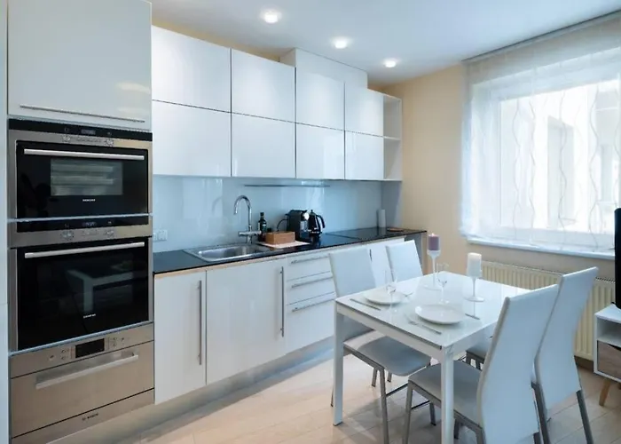 Old Kaleju One Bedroom With Terrace Riga