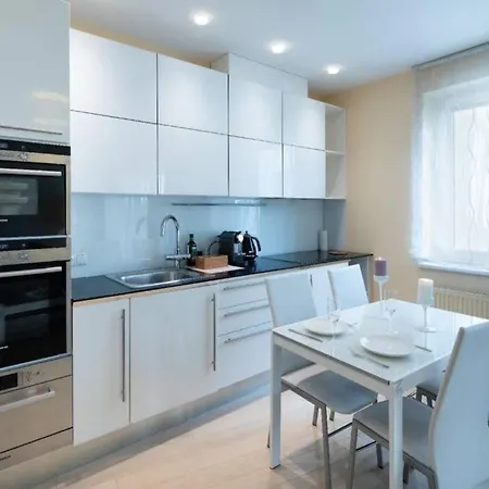 Old Kaleju One Bedroom With Terrace 里加